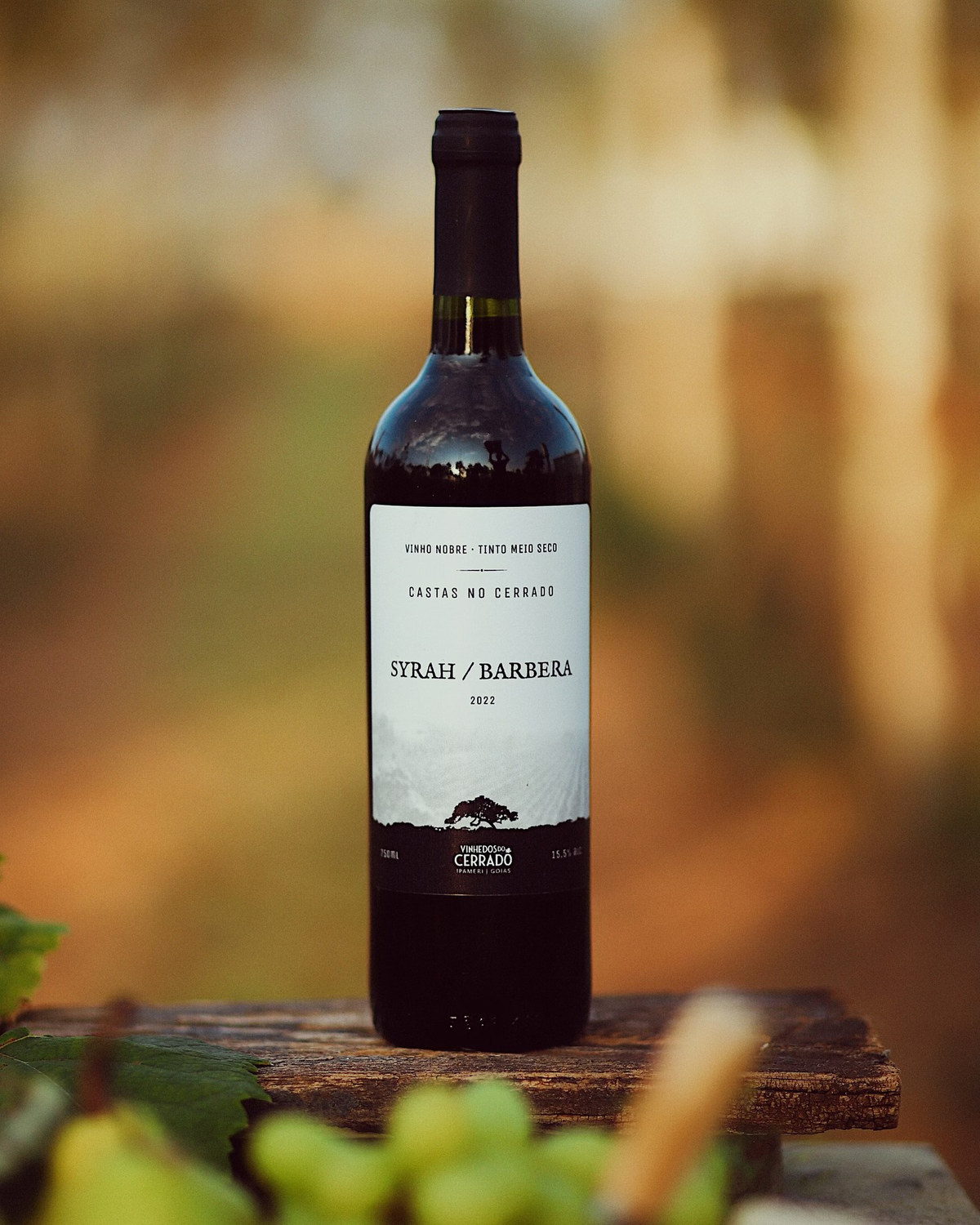 Garrafa de Syrah/Barbera 2022 sobre a madeira, com o vinhedo desfocado ao fundo
