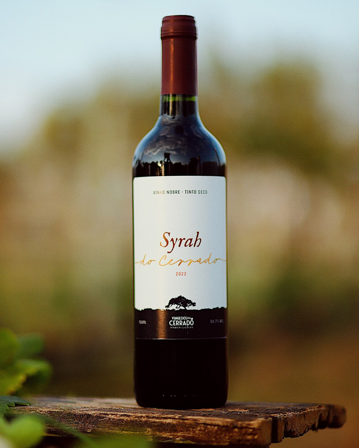 Garrafa de Syrah do Cerrado 2022 no vinhedo