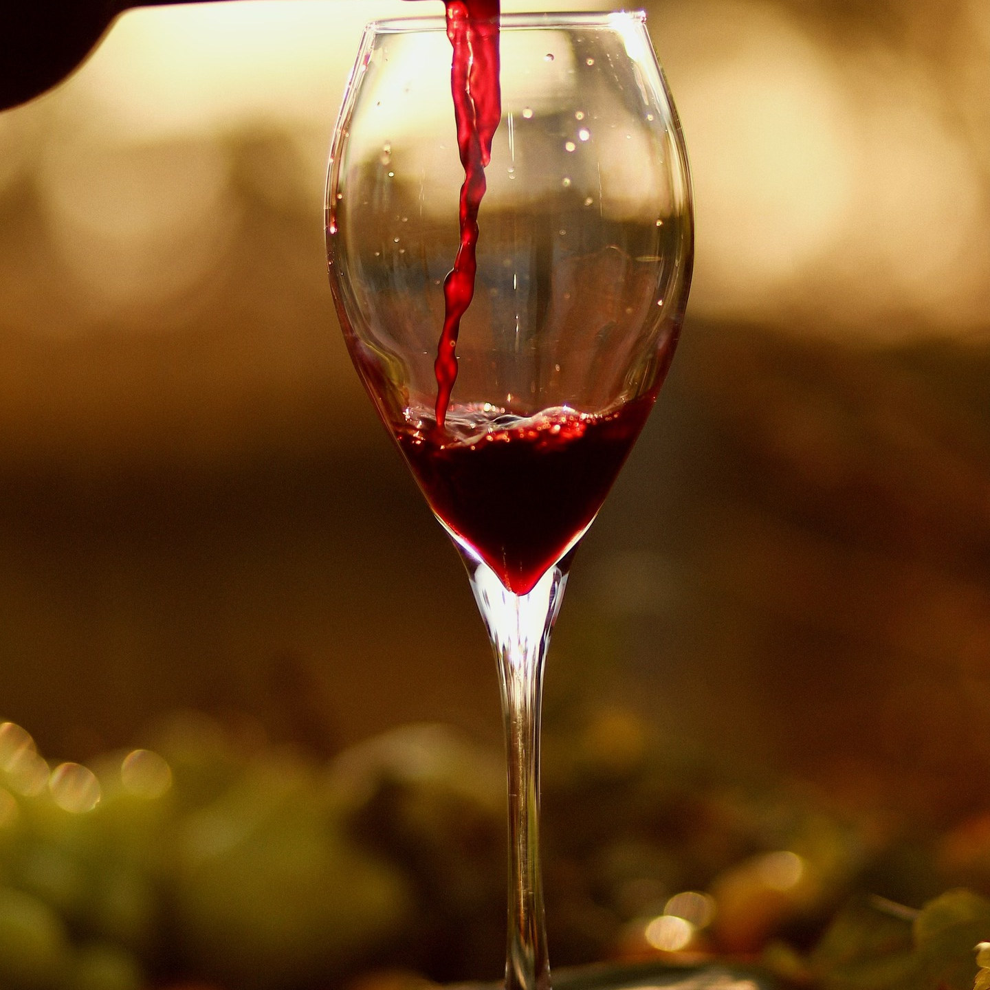 Vinho tinto servido na taça contra a luz dourada do pôr do sol