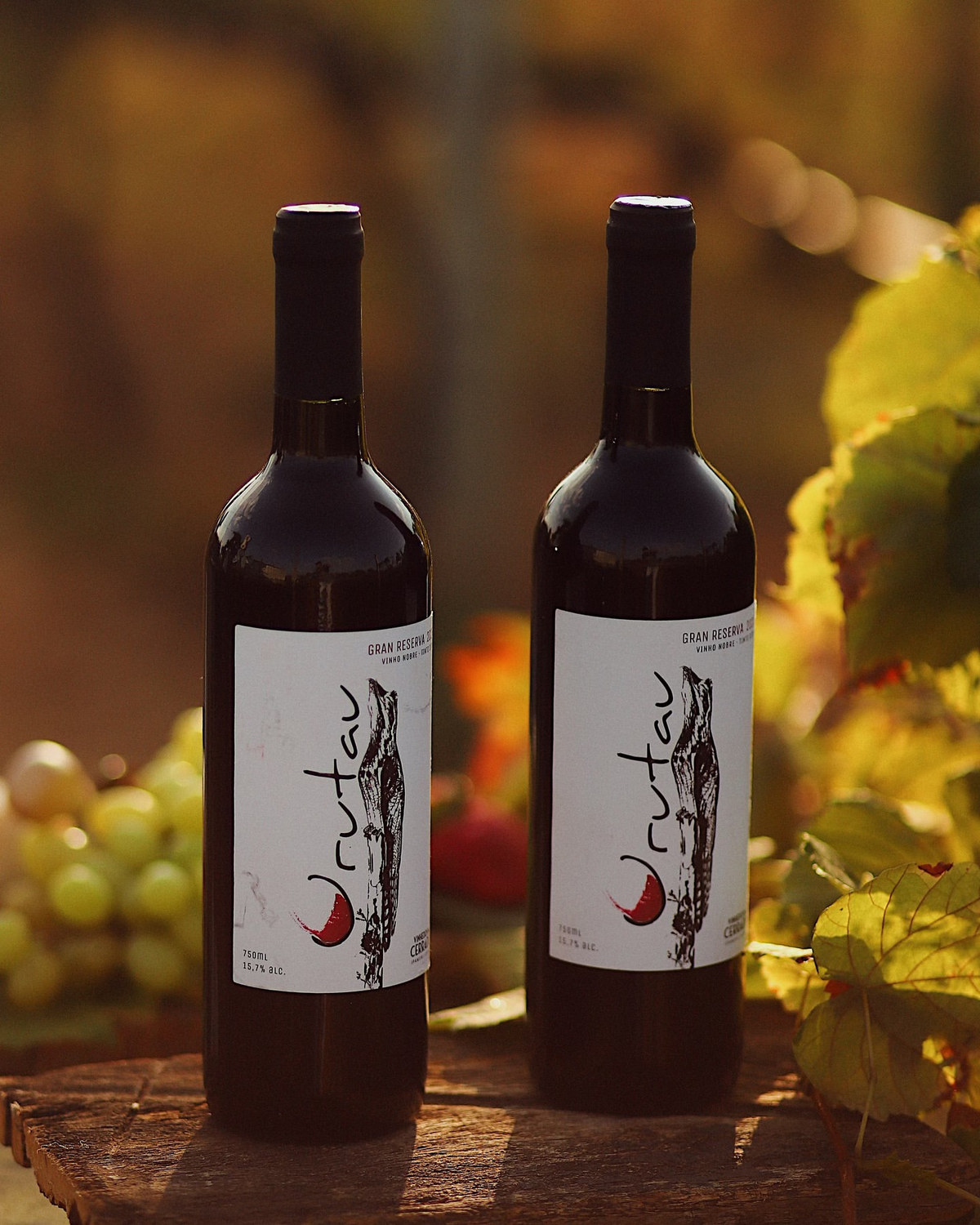 Duas garrafas de Urutau Gran Reserva sobre a mesa de madeira, entre folhas de videira