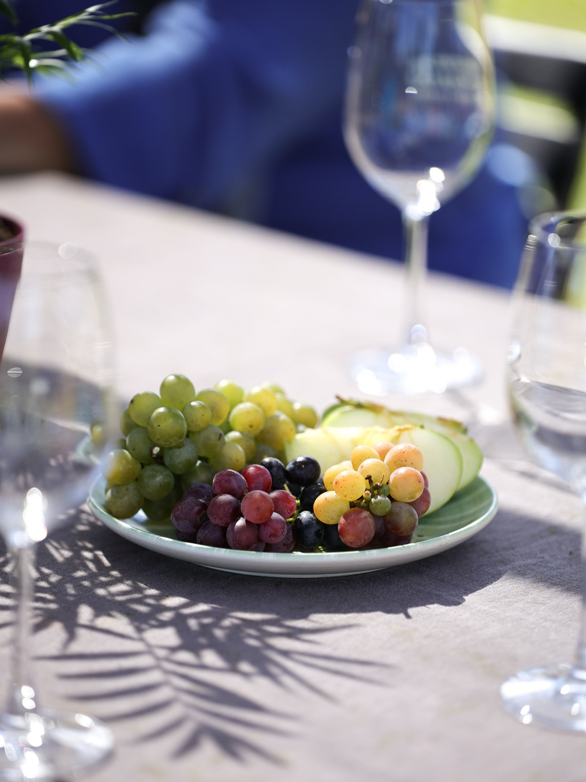 Cachos de uvas tintas e claras num prato sobre a mesa, entre taças e fatias de maçã